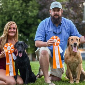 hrretrievers.com-gundog-trainer-1000