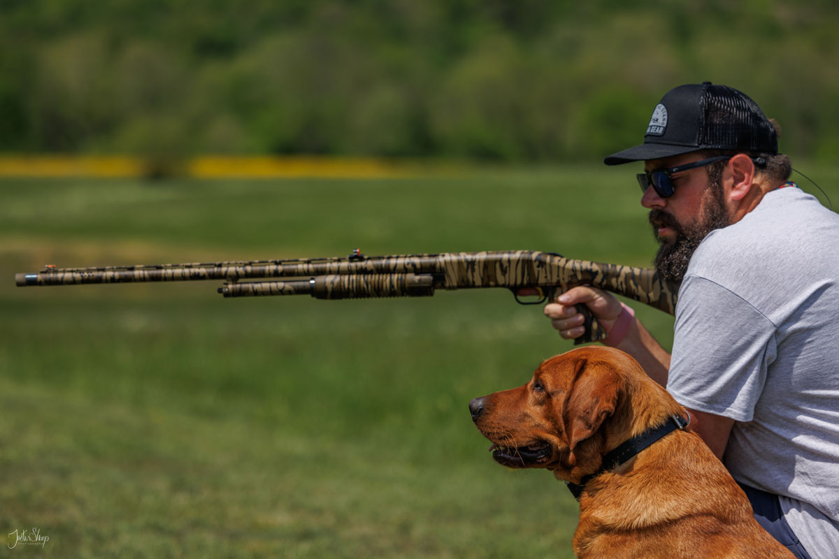 hrretrievers.com-services-advanced_gundog